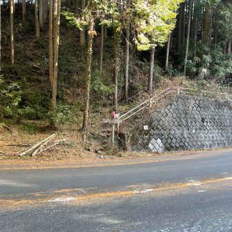 この分岐に気づかず、200m先まで行ってしまった