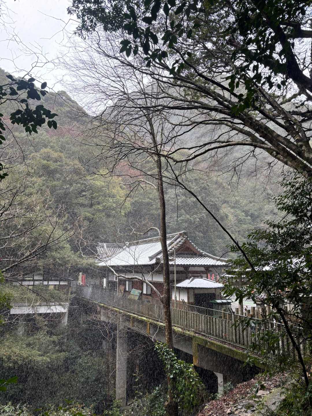 七宝龍寺本堂-経塚権現山 往復コースの写真