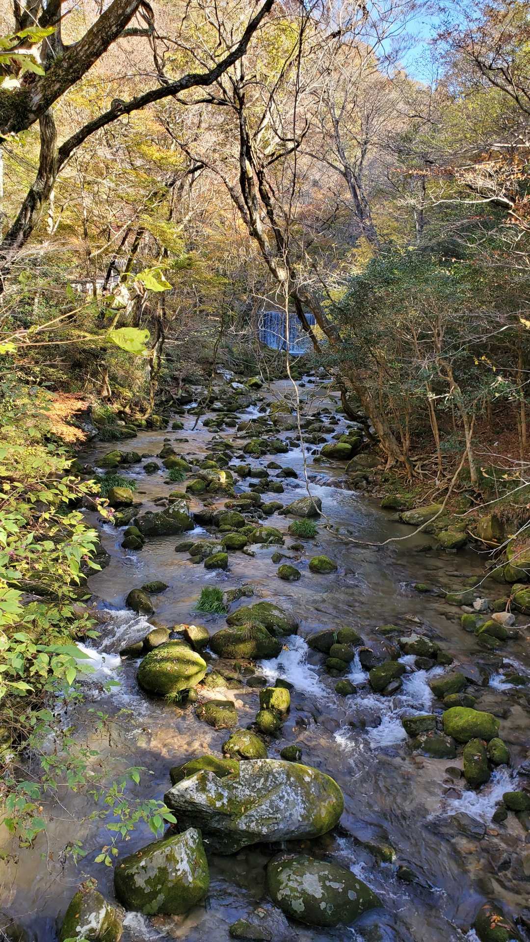 花貫駐車場発着｜花貫渓谷周回コースの地図・登山ルート・登山口情報