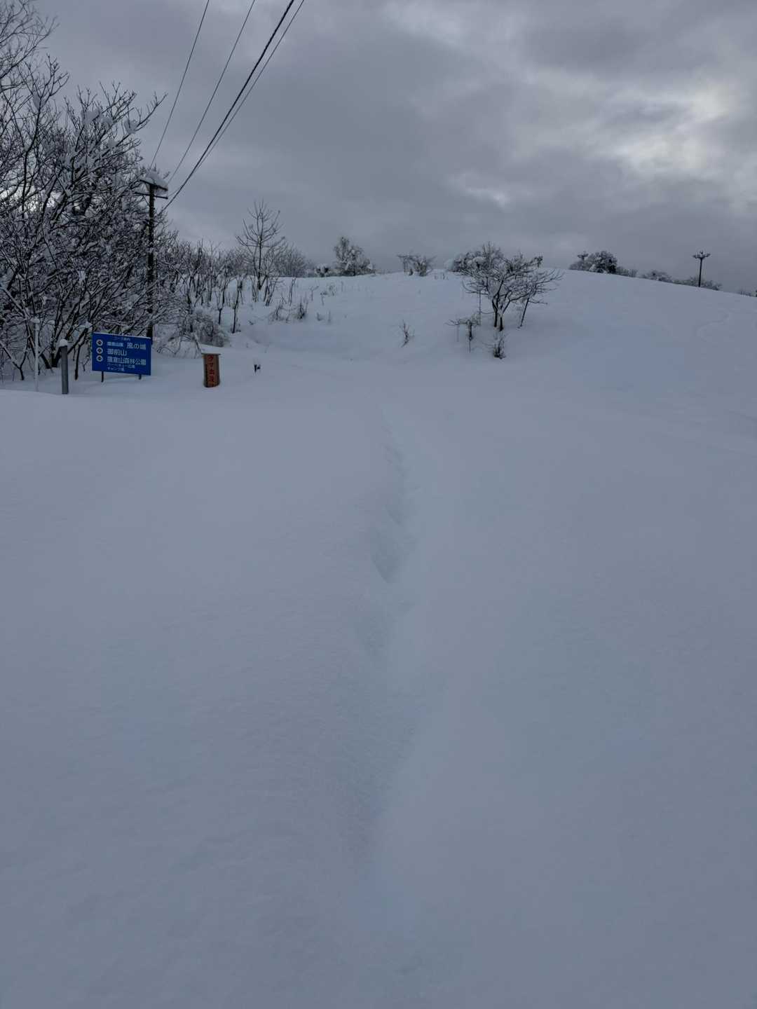 いつのラッセル跡だろう❓
1人分のラッセル跡にパウダースノーがたっぷり20〜30cm降りかかってる❄️

立山かんじき履いてスタート▶️