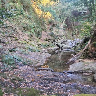 三ツ淵の横から河原に降りて１００m 程、上流に向かいます。