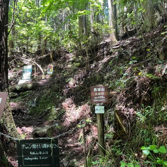 ここが長坂山の登山口

ほんとは行く予定でしたけど
前日の大雨で足元が不安定とのことで

滝めぐりのピストン↔️
滝ハイキングになりました💨