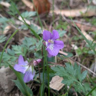 🤩

何かを起こすには
何かを変える勇気と行動が必要

多分そう
能動的に動くから動く

若手じゃない
いい年した中年なら
この意味
分かるはずだ

そういう組織にいること
そういう組織で信頼を得ること
それを積み重ねること
そしてタイミングと運

そして
いつか人は気付く

そもそも
望んだってできるもんじゃない
ことくらいね🙃

若手は言う
良いですね
羨ましいですと

無邪気なもんだ🐣

違うんだよ

誰かがくれるもんじゃない

→以下、上からのループ🎃