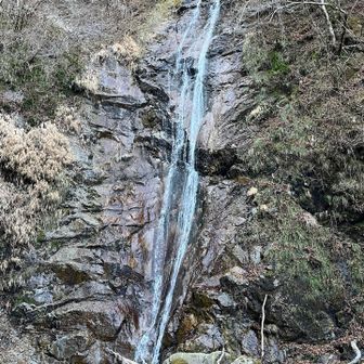下棚の滝✨
本棚の滝より繊細な感じ
