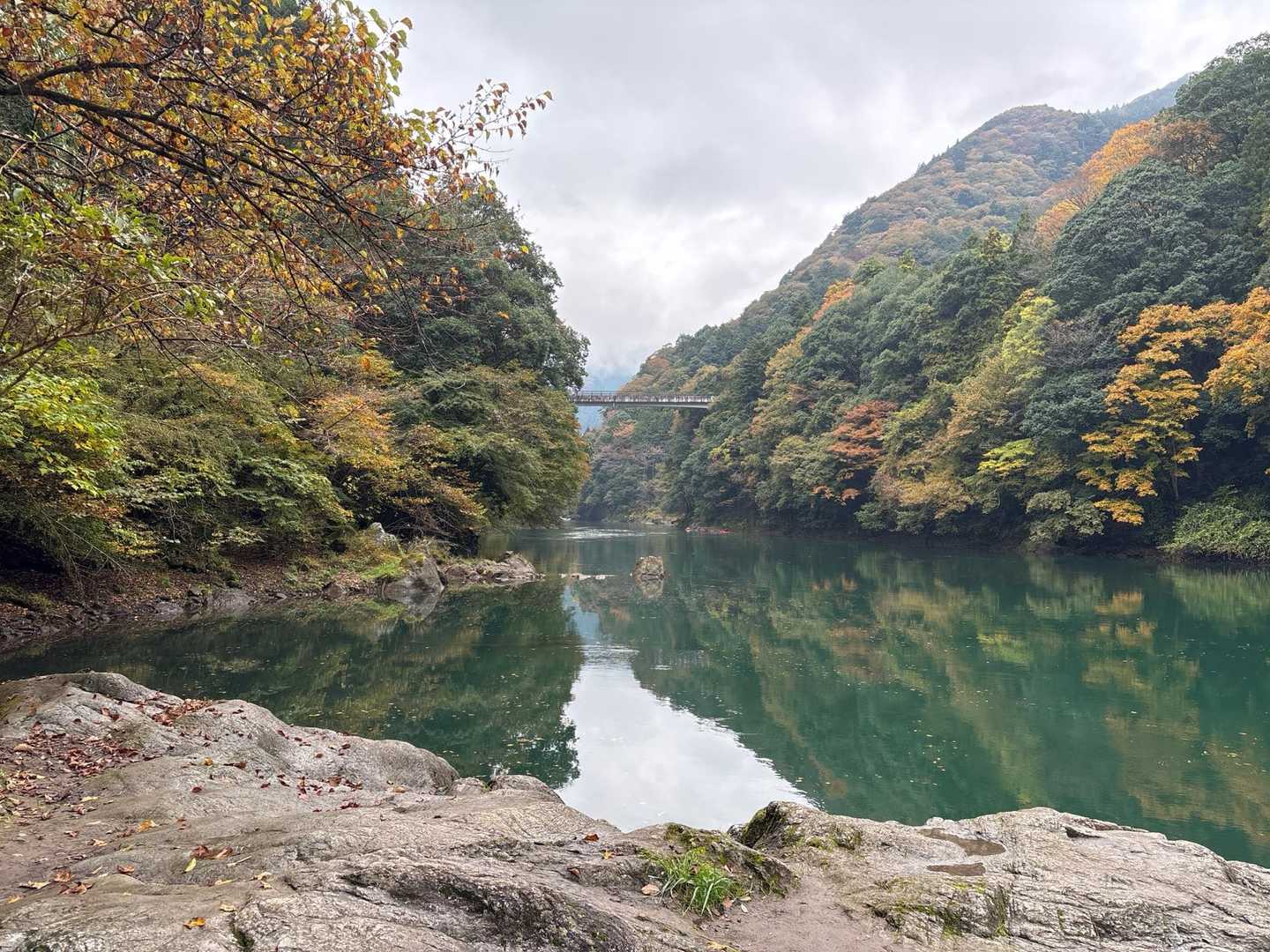 数馬峡橋が見えてます