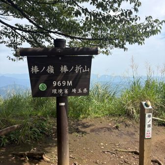 頂上到着