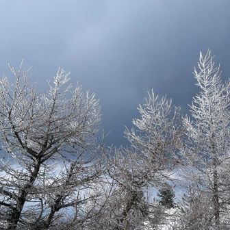 日差しｷﾀーー