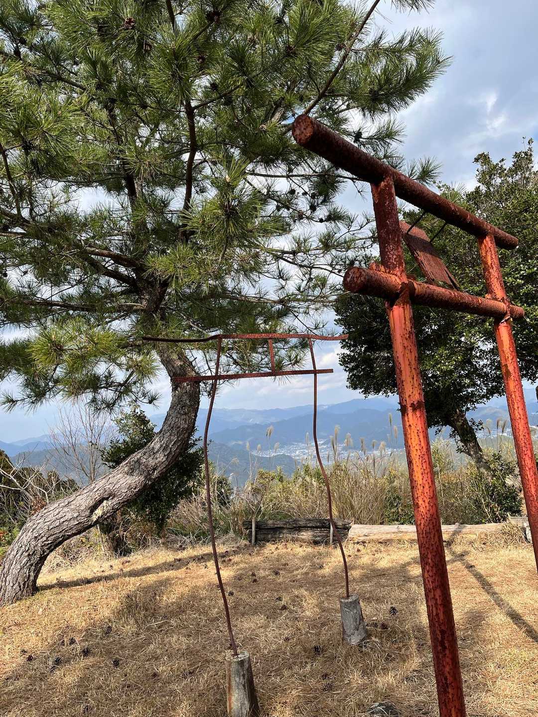 このヒョロヒョロ鳥居見たかった
松の木と少し大きな鳥居も一緒に