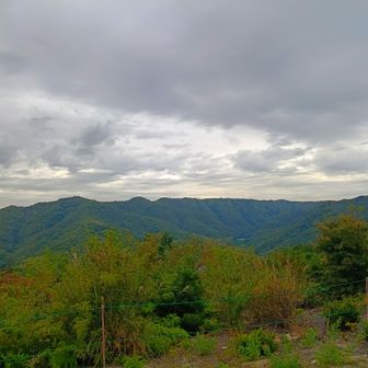 北側に連なる藪が濃い沼南アルプスの姿にたじろぎます🙄