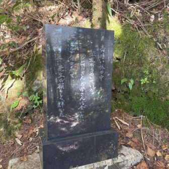 ここが有名な雷のあれか