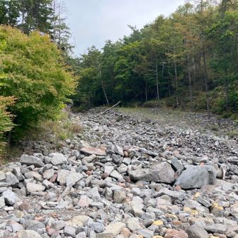 河原を歩きました