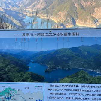 サス沢山の標柱の辺りは見晴らし台になっているので休憩向き