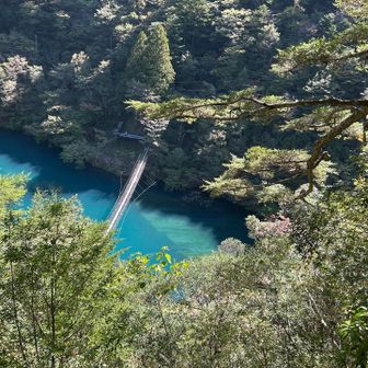 304段の階段途中に上から
結構登ってきたね