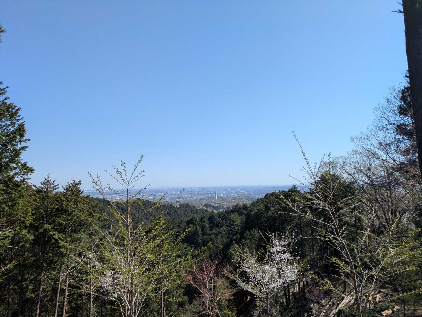 山頂からの眺望✨
