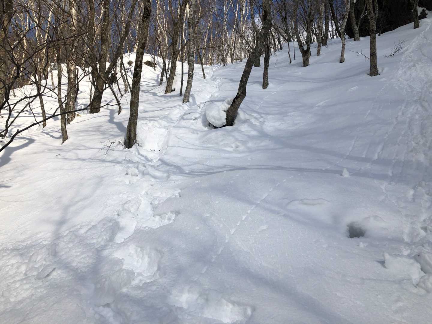急登直下。伝家の宝刀、パンダ式尻滑りの段🥷
