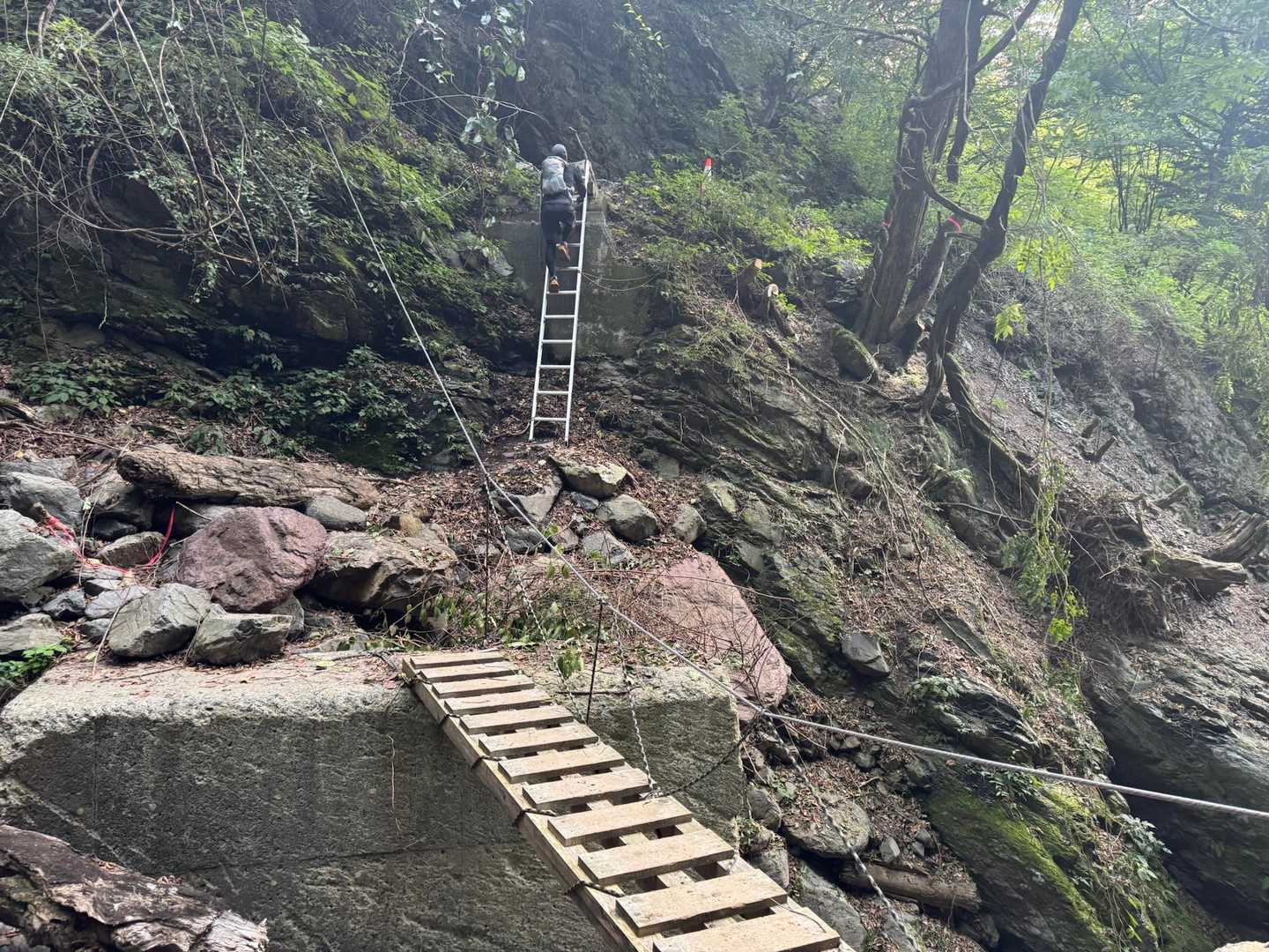 芝沢ゲート-易老渡-大木の広場-苔平-小聖岳-聖岳 往復コースの写真