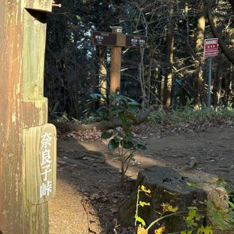 何回登ればいいの？