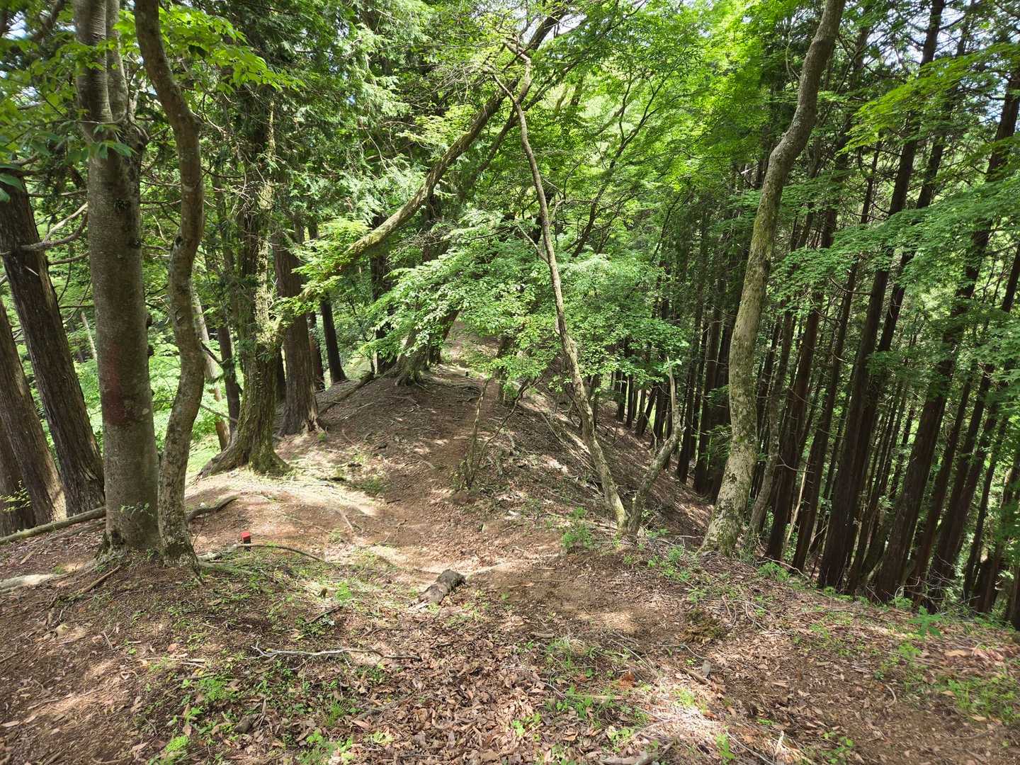 まだ山道でした。