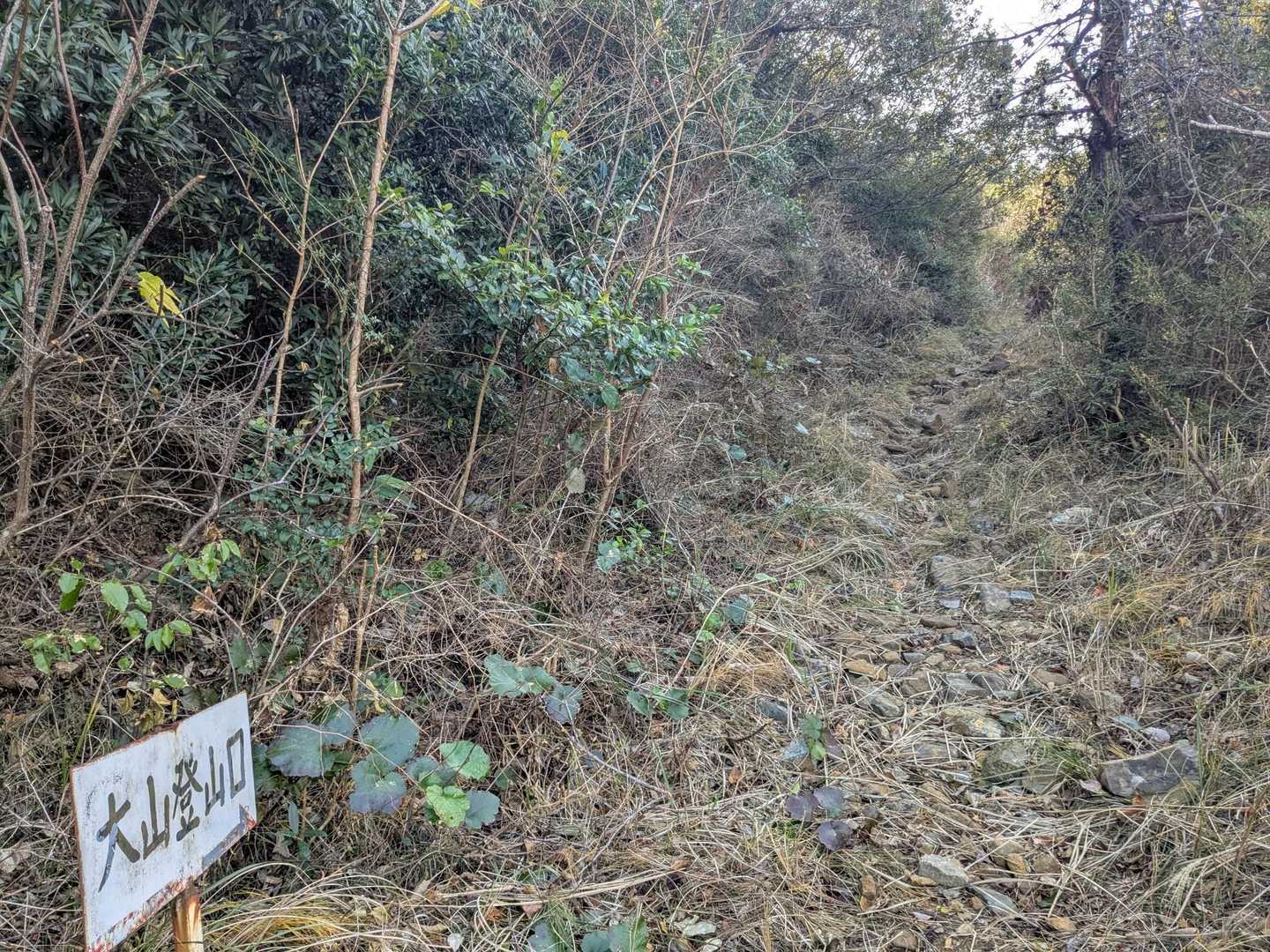 登山口