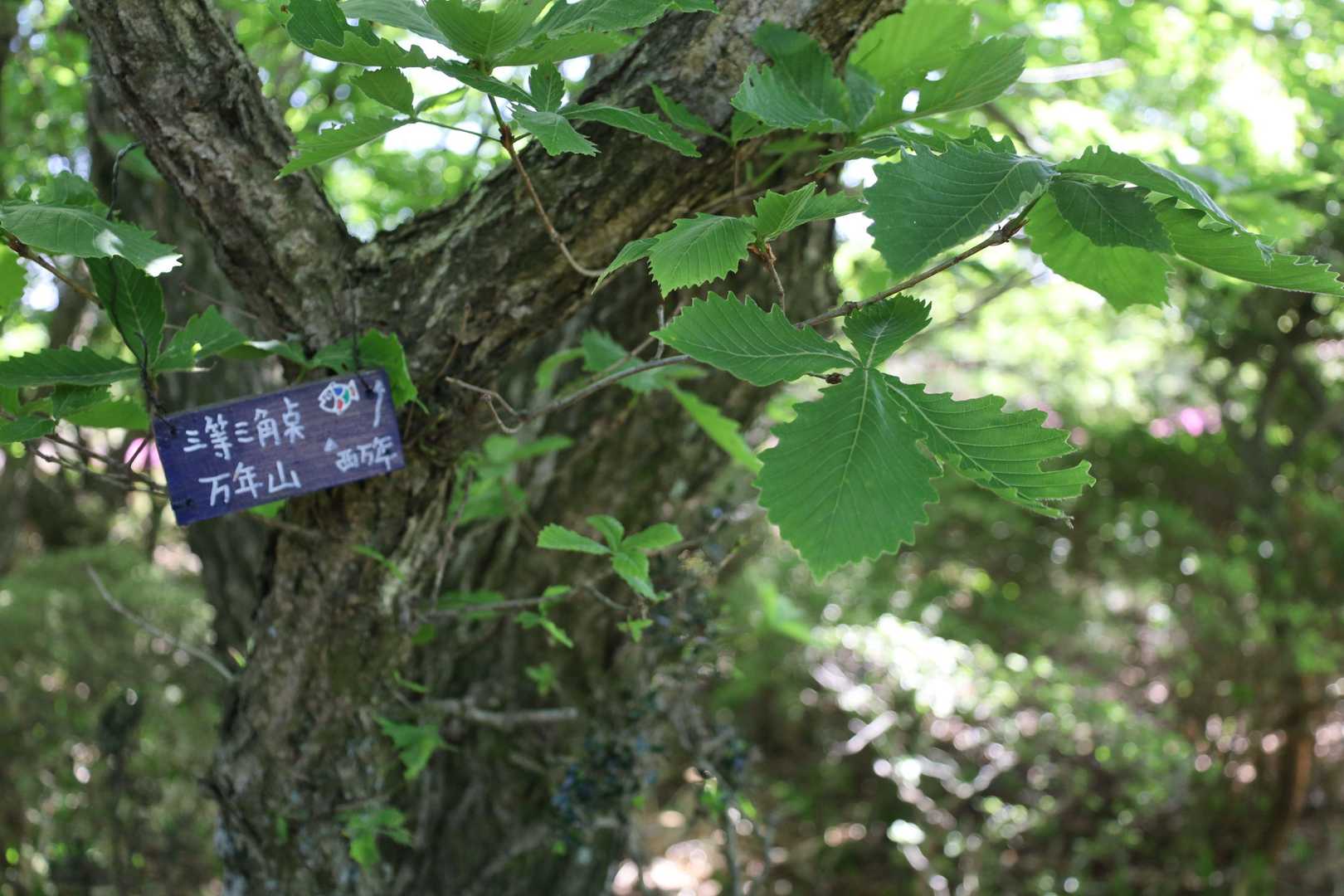 ちょっと寄り道