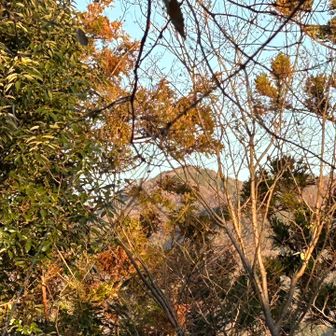 休憩して一枚脱いだ