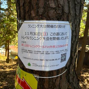 へぇ、ここでトレラン大会ね。11月30日・・・って今日じゃないですか！
５０ｋｍ走るとか尋常じゃないです。落ち葉祭りの下りトレイルで、颯爽とランナーが駆け抜けていきました。信じられません。