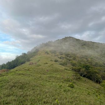 赤石ヶ岳までの登り、スッキリしていて良い感じ