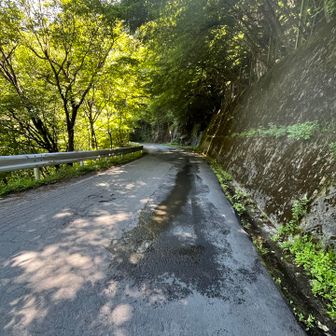さて、車は菅の台バスセンター
あと数キロはロード、ここは走るしかない😆
途中でバスに何回も抜かされました😂
途中のバス停から乗ると言う選択肢もあるけど、一応ランナーだしな・・と痩せ我慢😣