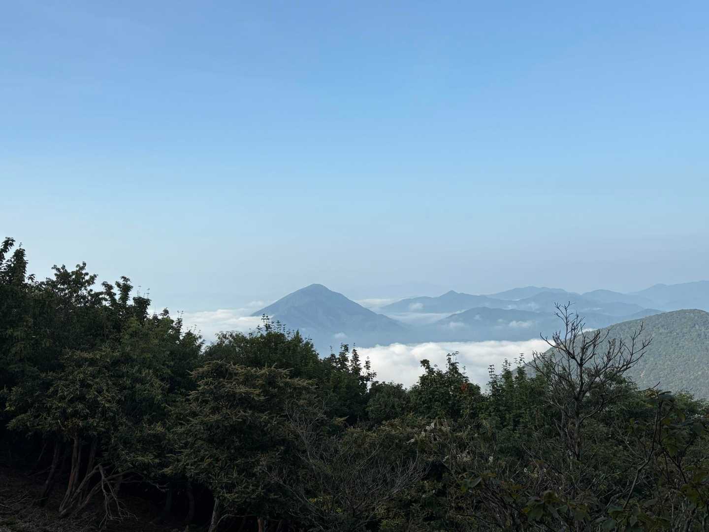 少し移動して撮ってみますが、やっぱり木🌲で隠れてます📷