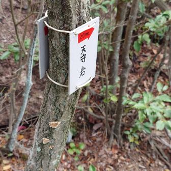 天守岩の案内