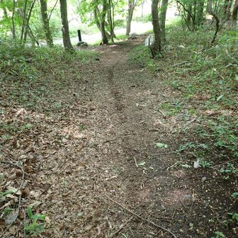 登山口に戻る　バイクの走行跡がハッキリ