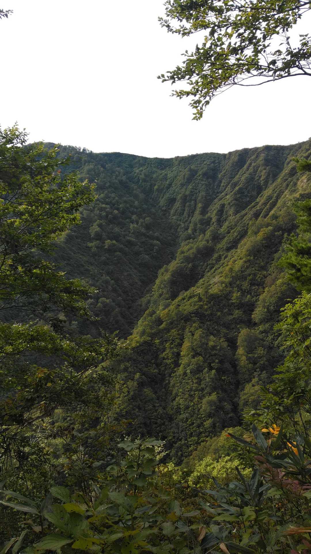 倉沢登山口-摩耶山 往復コースの写真
