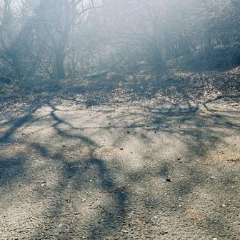 バス停へのショートカット見逃したので
林道で鳥居地峠へ
駐車場は車０