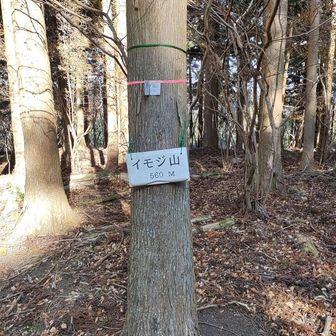 銘板があるのは道に近い場所。