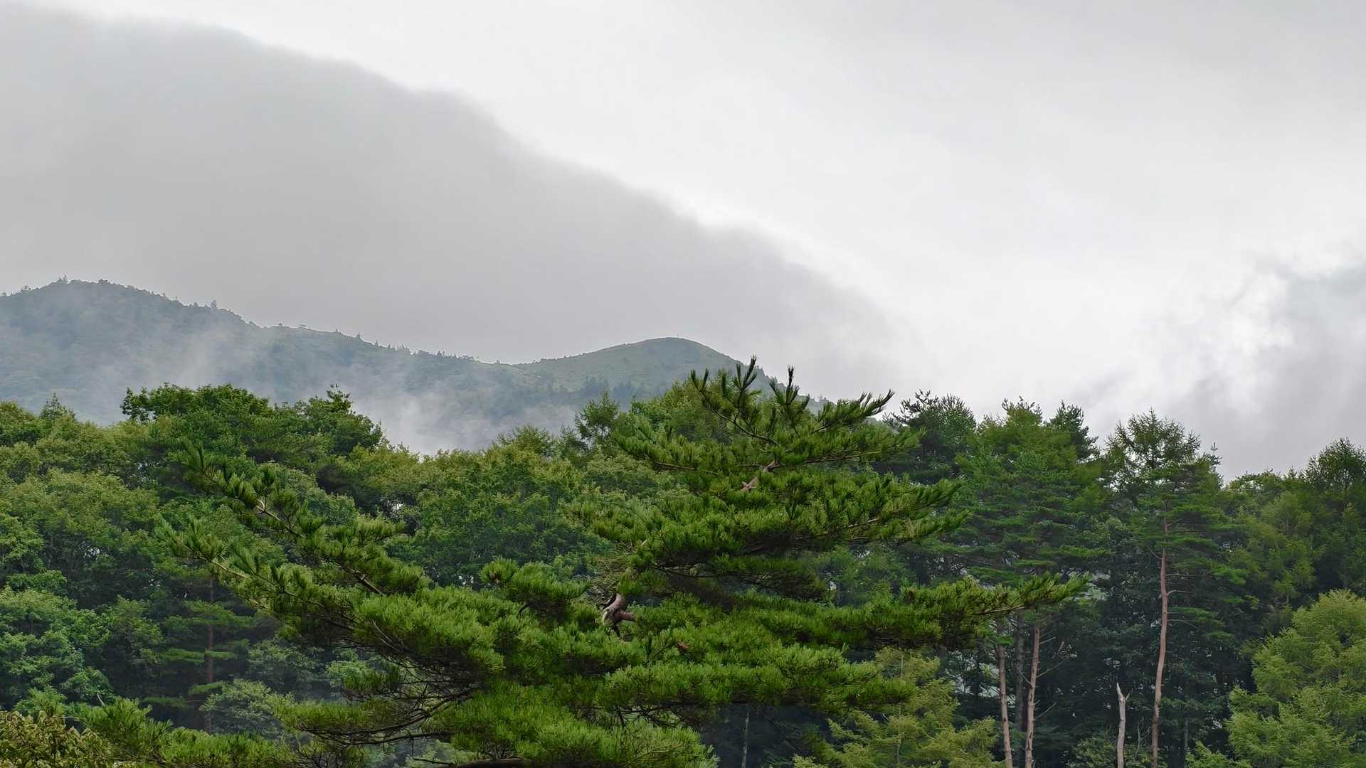 駅前から舗装路をてくてく👣
遠くに見えてるのが多分飯盛山。
雲はかかっていないみたい👌