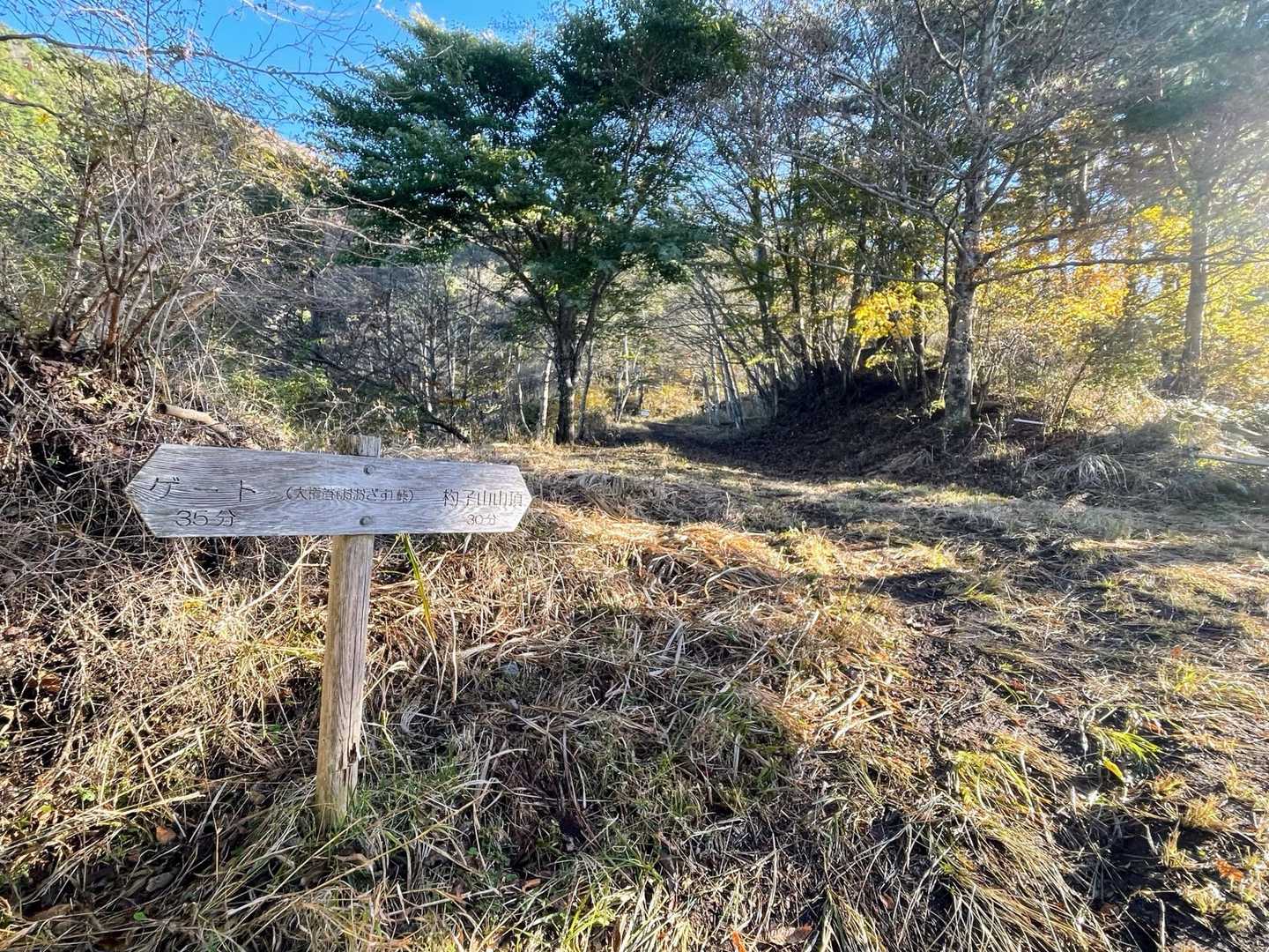 大権首峠ですが、普通には読めませんよね😩
『おおざす』と読むみたいです。この峠を境にして林道から登山道に変わります‼️