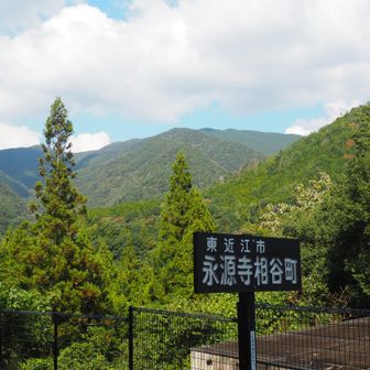 相谷の一部は湖底に沈んだ。