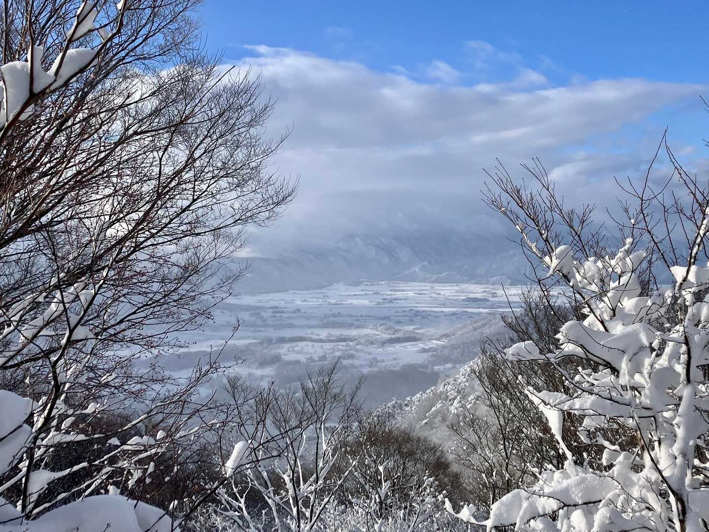 大野市が見えてきました。