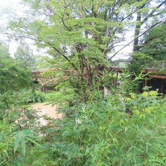 あいあい橋から戻ります。