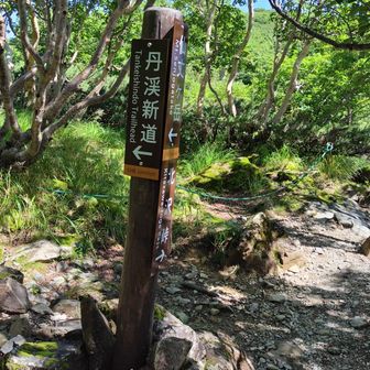 さらに進む