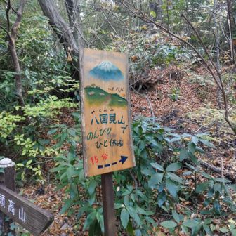 YAMAP情報で、富士山が拝めるとの八国見山で「ひと休み」してみたかったけど…