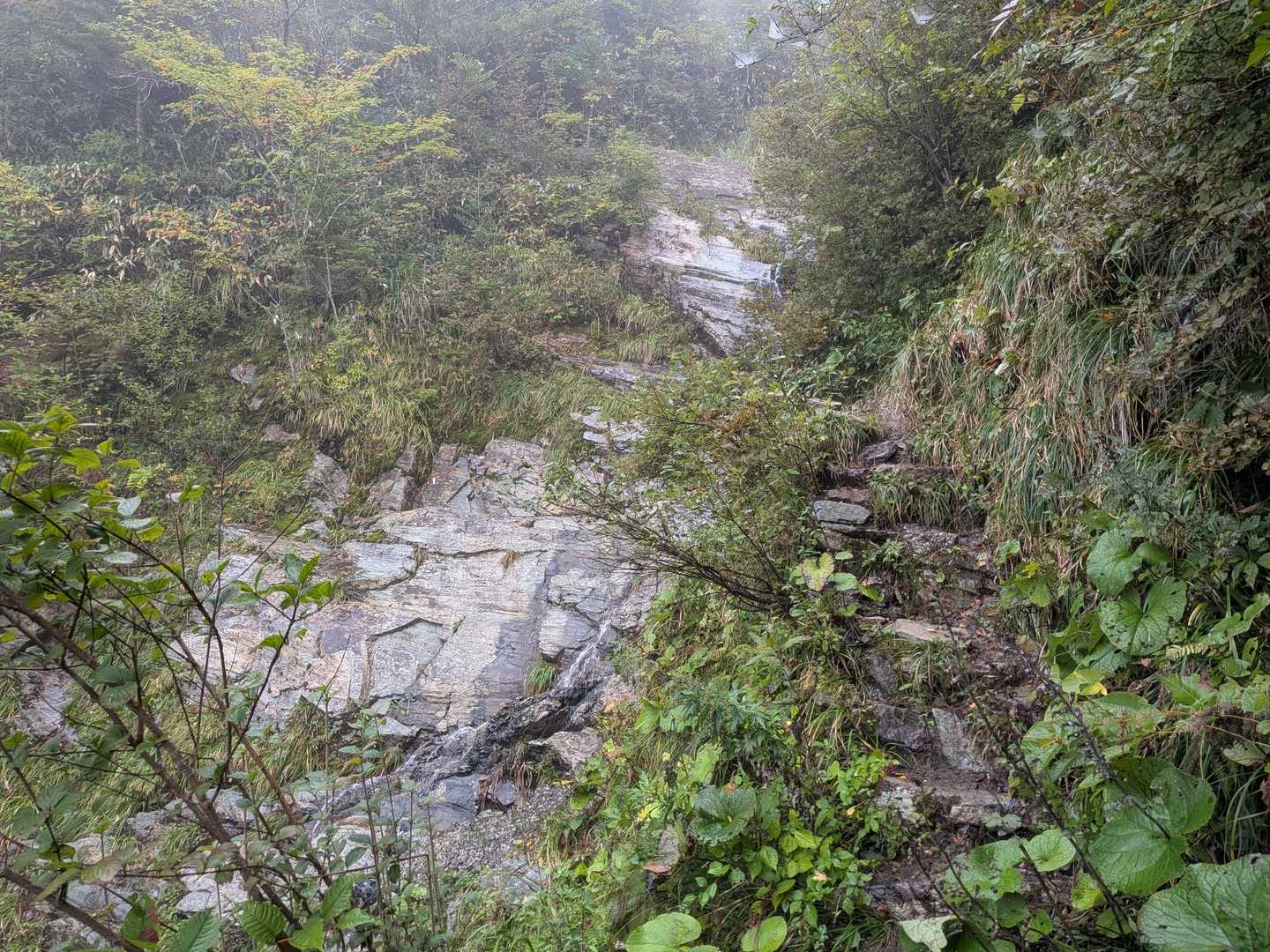この写真の右の方から登るよ👍
雨は降ってないけどミスト状態🌫️
街は晴れてたのになー😅