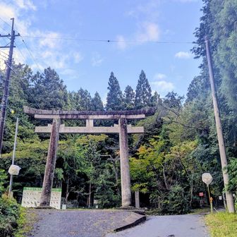 体調不良。。
楽しみにしていた遠征は早々に諦めた🥲
そして台風って🌀

せっかく月曜有休取ったしなー
昨日夜9時。なんとなーく、いとこのたかしちゃんに連絡したら、
「暇やったら、お母さんに顔見せてあげて。喜ぶから」って言ってくれた