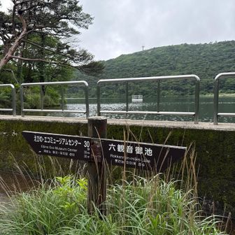 おぇ〜 御池は こうなってるんですね
初めて来ました！