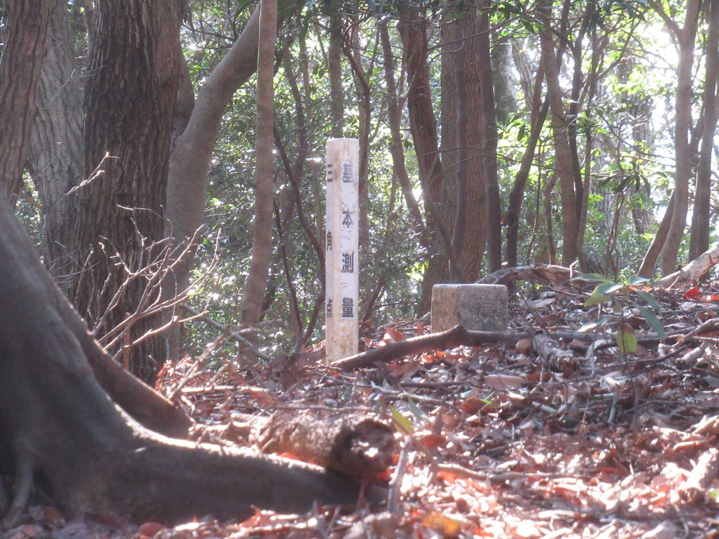 山頂標識はなく三角点あり（四等三角点、天が望、162.55m）・・（後日Yamapで”黒川城山”と知った、そういえば山頂の先に堀切らしいのを見ました）