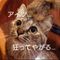躁鬱山に消える