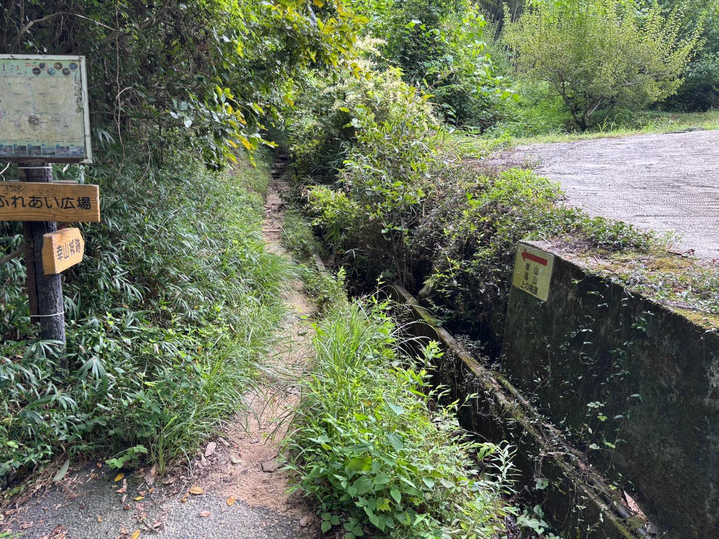 福山登山道ふれあい広場口 往復コースの写真