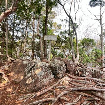 この山は踏み跡が至る所にあるので、気付いたらルート外れがザラ。