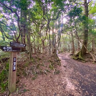 大室山登山口から登山開始