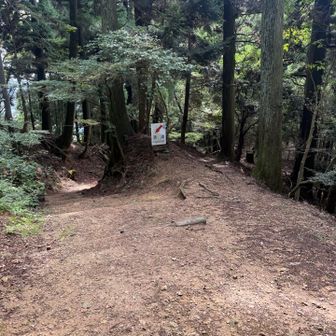 保津峡(右)と清滝(左)の分岐点